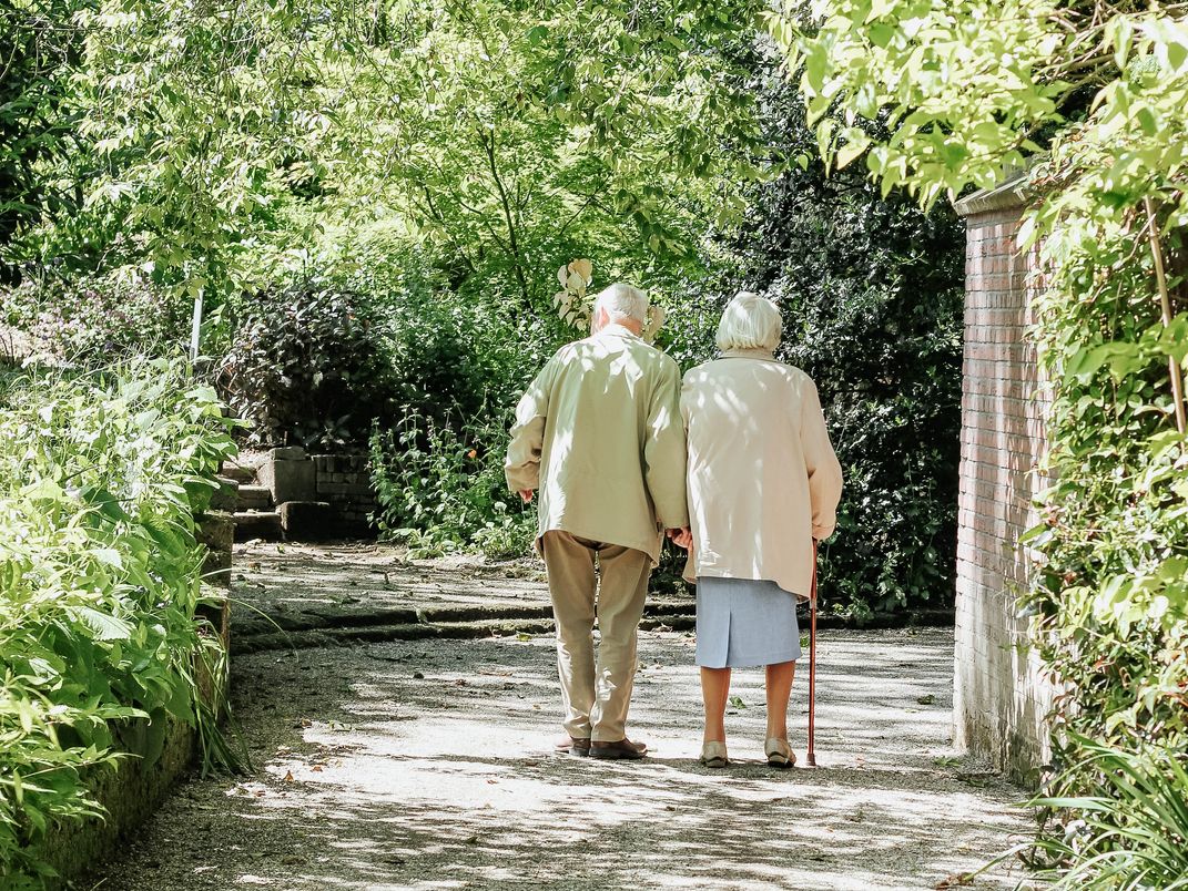 A mature couple enjoying a leisurely walk amidst the natural beauty of a garden pathway. A mature couple enjoying a leisurely walk amidst the natural beauty of a garden pathway.